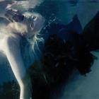 /ufiles/album/13054104128440429716697.jpg