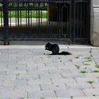 /ufiles/album/13054202916044921986468.jpg