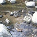 /ufiles/album/13058269515681640774662.jpeg